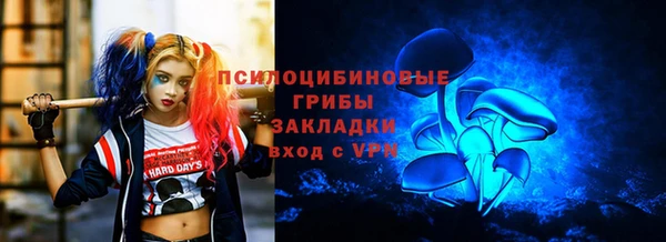 круглые Алексеевка