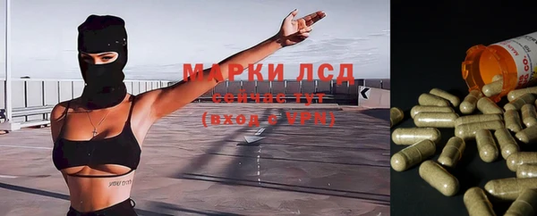 прущая мука Алзамай