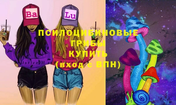 хмурый Алексин