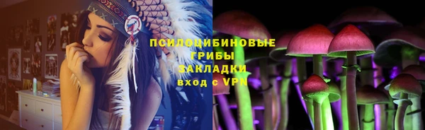 PSILOCYBIN Михайловск