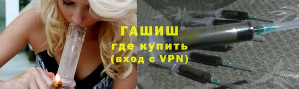 хмурый Алексин