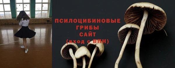 хмурый Алексин