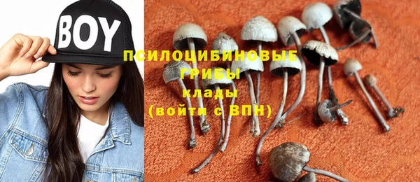 хмурый Алексин