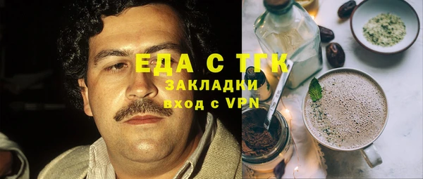 хмурый Алексин