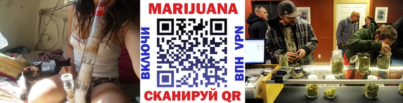 Каннабис сатива  kraken ТОР  Сольвычегодск 